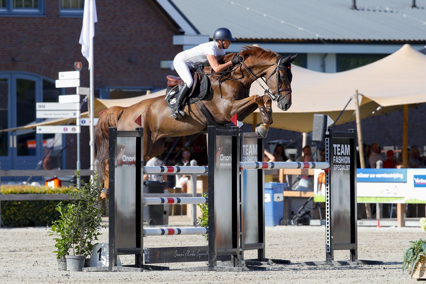 Offspring: Magic Touch at the KWPN Championships 2024