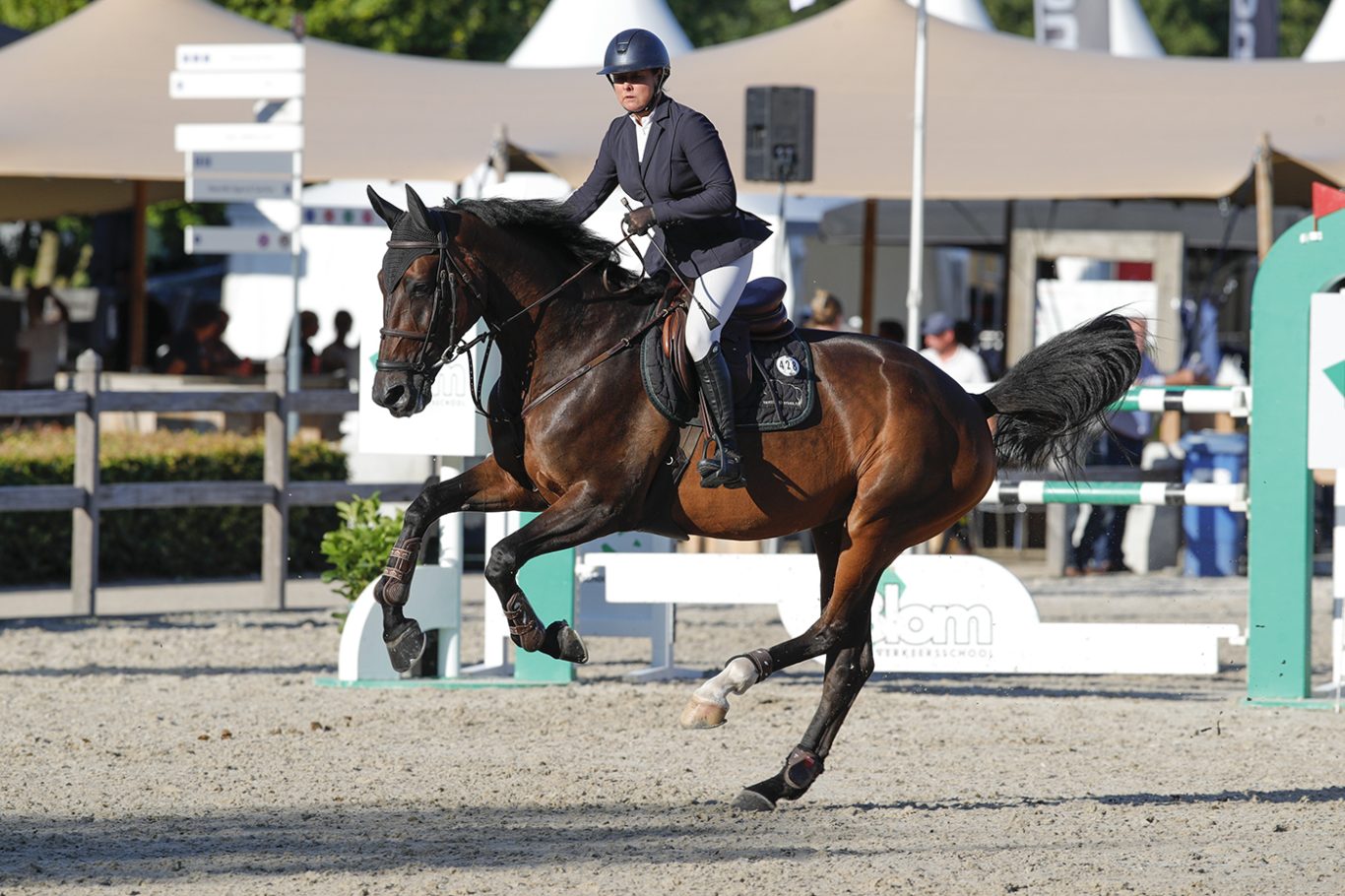 Offspring: Milestone T at the KWPN Championships 2024